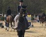 dressage horse Sentinel Equesta (Hanoverian, 2010, from San Amour I)