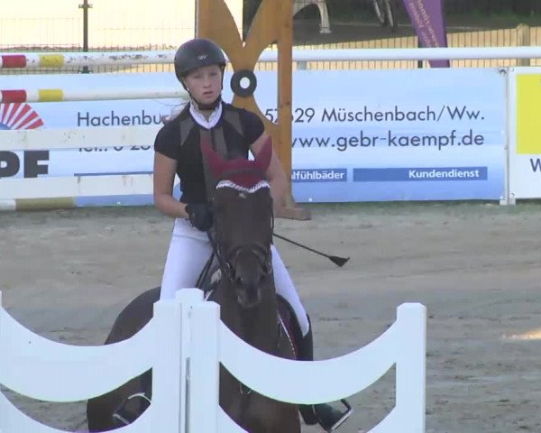 Summermeeting der Springreiter Hachenburg 2016