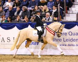 dressage horse Gabalier (German Riding Pony, 2016, from Golden West NRW)