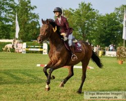 broodmare Lena (Bavarian, 2005, from Seigneur d'Alleray xx)