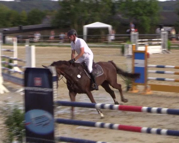 Reitturnier Bühren-Breckerfeld 2016