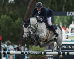 jumper Chica B Z (Zangersheide riding horse, 2009, from Canturano I)