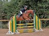 jumper Going On (German Riding Pony, 2002, from Going Top)