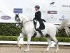 dressage horse Donabilis (Westphalian, 2008, from Dream On)