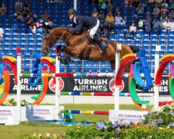 jumper Israel v/d Dennehoeve (Belgian Warmblood, 2008, from Thunder van de Zuuthoeve)