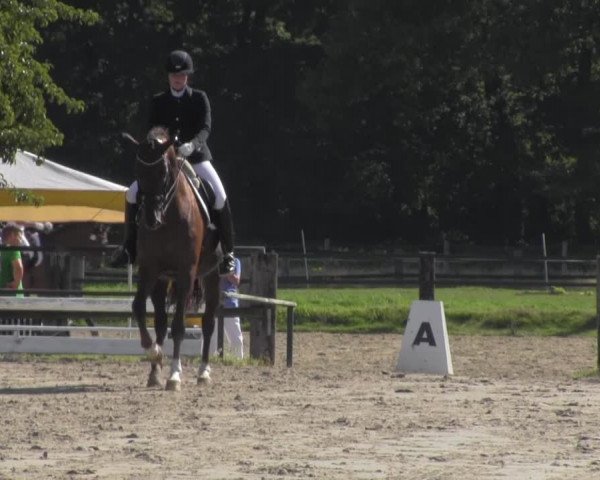 Reitturnier Recklinghausen 2016