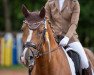 dressage horse Valentiano LB (Hanoverian, 2010, from Valentino)