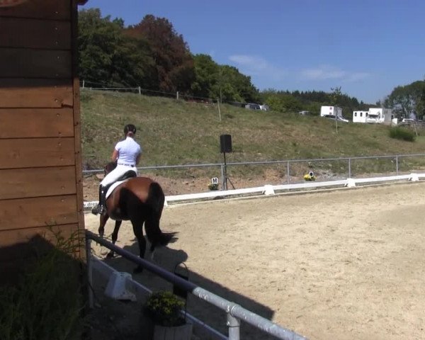 Reitturnier Bühren-Breckerfeld 2016