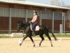 dressage horse Maraike 4 (German Sport Horse, 2010, from Hochmeister)