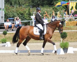 dressage horse Silence (Hanoverian, 2008, from Sunlight xx)