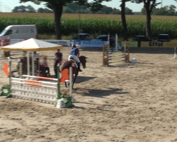 Reitturnier Recklinghausen 2016