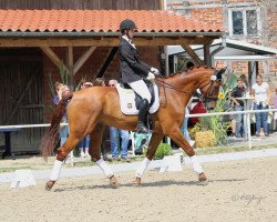 dressage horse Be My Fuchsi (Hanoverian, 2010, from Barclay 20)