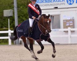 jumper Turmalin 1202 (Swedish Warmblood, 2006, from Tornesch)