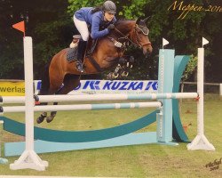 broodmare Honey 93 (German Riding Pony, 2010, from Halifax)