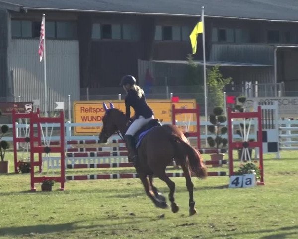 Reitturnier Düren - An der Kuhbrücke 2016
