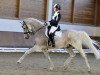 dressage horse Dante 75 (Belgian Warmblood, 2003, from Quickfeuer van Koekshof)