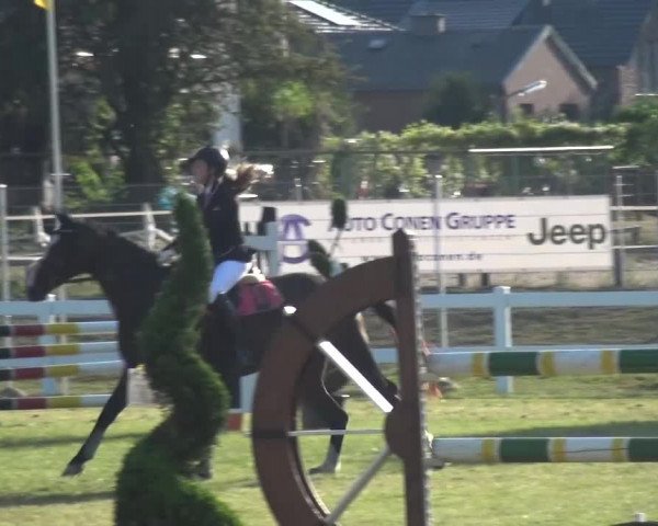 Reitturnier Düren - An der Kuhbrücke 2016