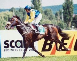 stallion Tribal Instinct (Thoroughbred, 1998, from Doyoun xx)