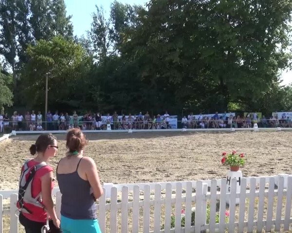Reitturnier Düren - An der Kuhbrücke 2016