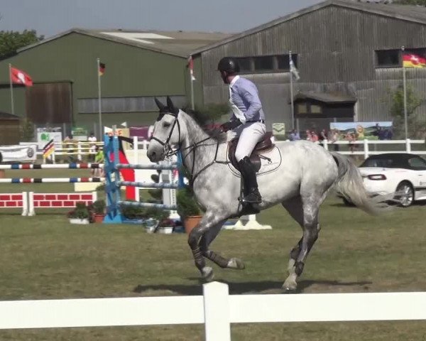 Reitturnier Düren - An der Kuhbrücke 2016