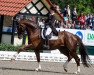 dressage horse Sir Simon NRW (Westphalian, 2008, from Samarant)