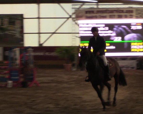Große Jumping-Trophy Pausin 2021