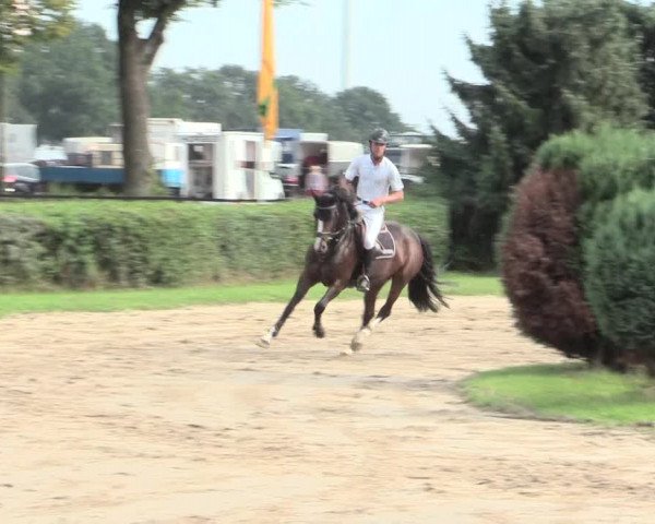 Reitturnier Recklinghausen 2016