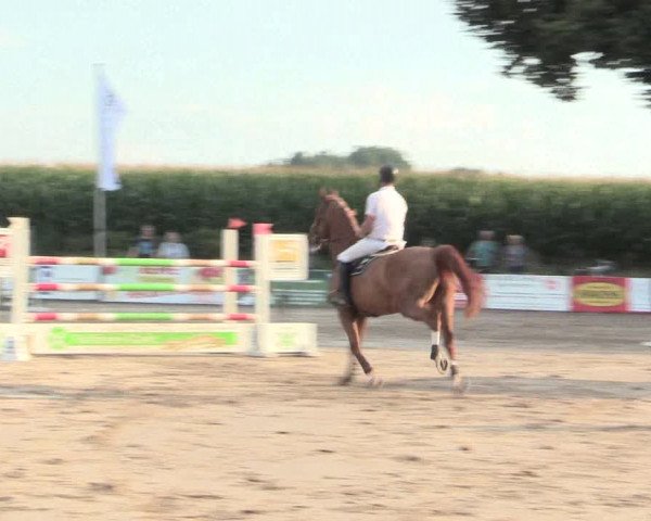 Reitturnier Recklinghausen 2016