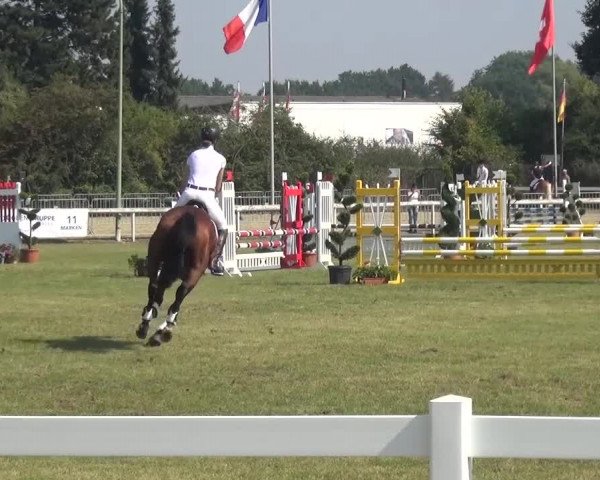 Reitturnier Düren - An der Kuhbrücke 2016
