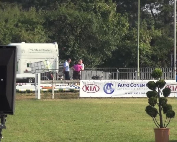Reitturnier Düren - An der Kuhbrücke 2016