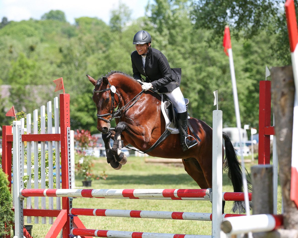 jumper Graf Keks (Hanoverian, 2013, from Graf Galen)