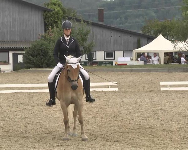 Reitturnier Kandern-Tannenkirch-Fohrenhof 2016