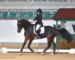 dressage horse Chamberlaine S (Hanoverian, 2009, from Conteur)