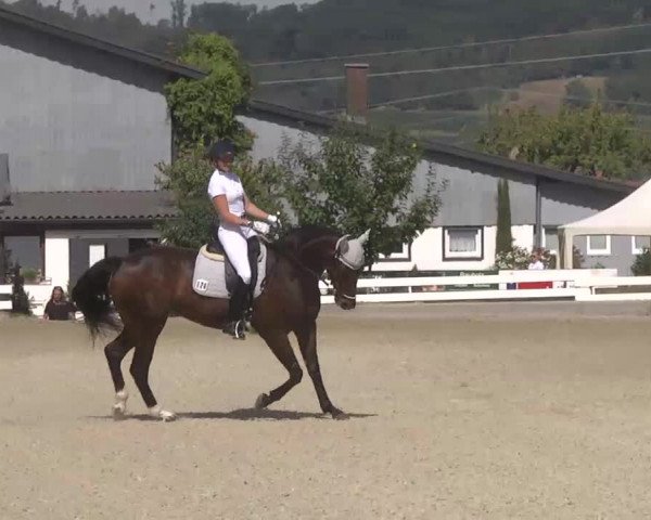 Reitturnier Kandern-Tannenkirch-Fohrenhof 2016
