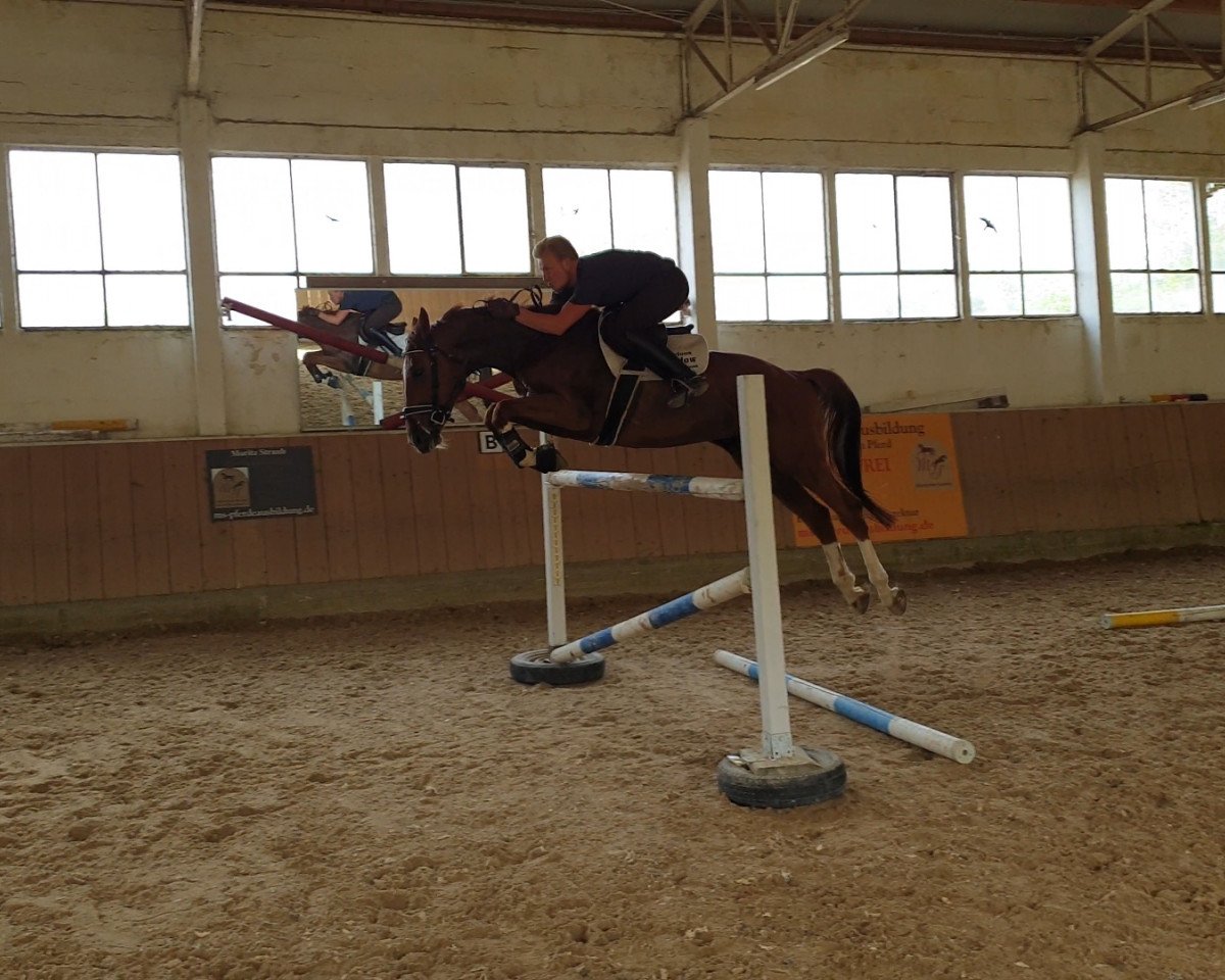 jumper Wicked Wonderland 3 (Bavarian, 2013, from Cola Zero)