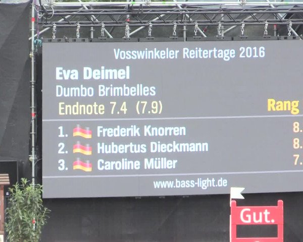 Voßwinkeler Reitertage 2016