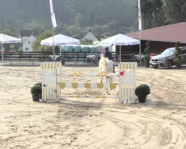 Voßwinkeler Reitertage 2016
