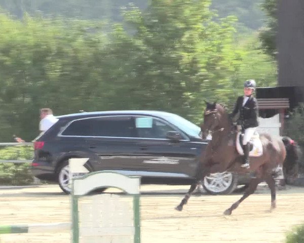 Voßwinkeler Reitertage 2016