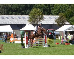 dressage horse Carlalotta (Zweibrücken, 2002, from Colman)