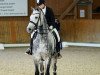 dressage horse Artic son B (Mecklenburg, 2010, from Arctic)