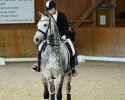 dressage horse Artic son B (Mecklenburg, 2010, from Arctic)