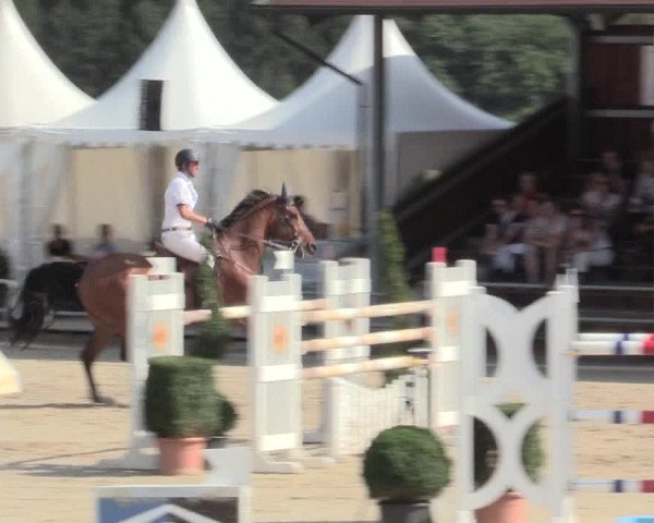 Voßwinkeler Reitertage 2016