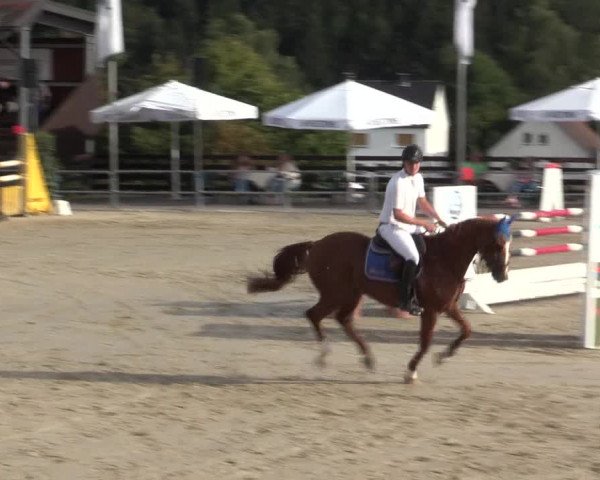 Voßwinkeler Reitertage 2016
