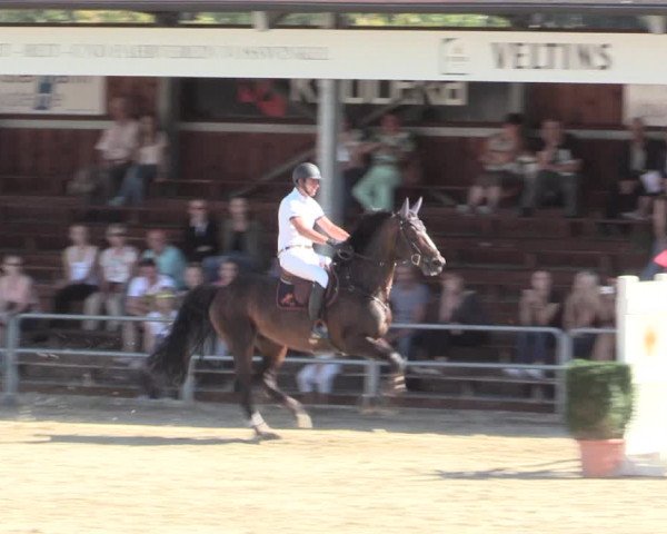 Voßwinkeler Reitertage 2016
