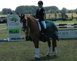 dressage horse Don't touch me 7 (German Riding Pony, 2004, from FS Don't Worry)