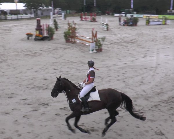 Reitturnier Bad Rothenfelde 2016