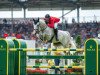 jumper Eddie Blue (KWPN (Royal Dutch Sporthorse), 2009, from Zirocco Blue)