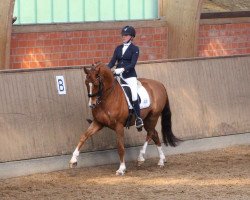 dressage horse Lord Nymphenburg (Oldenburg, 2009, from Lord Liberty G)