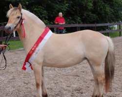 horse Anike (Fjordpferd, 2016, from Dylan)