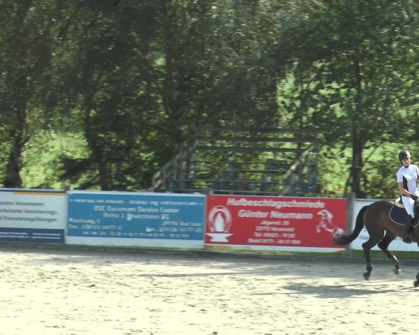 Reitturnier Bad Rothenfelde 2016